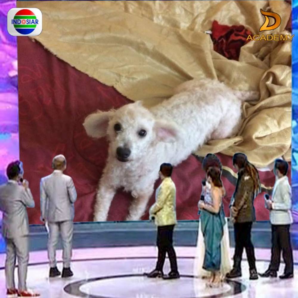 Meet your Posher, Carla